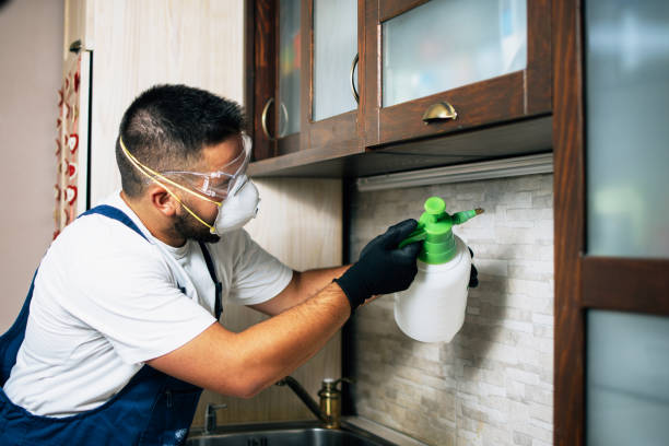 Best Local Pest Control Services  in Clay, KY