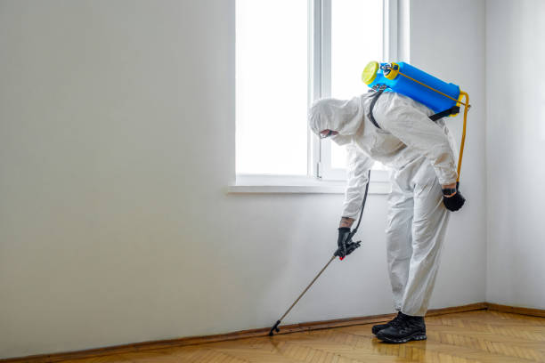 Best Pest Prevention Services  in Clay, KY