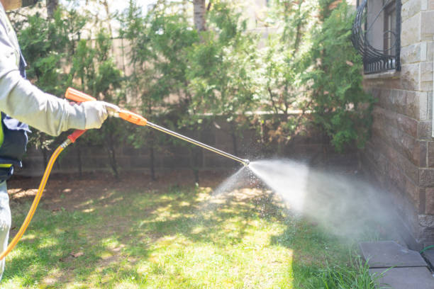 Best Insect Control  in Clay, KY